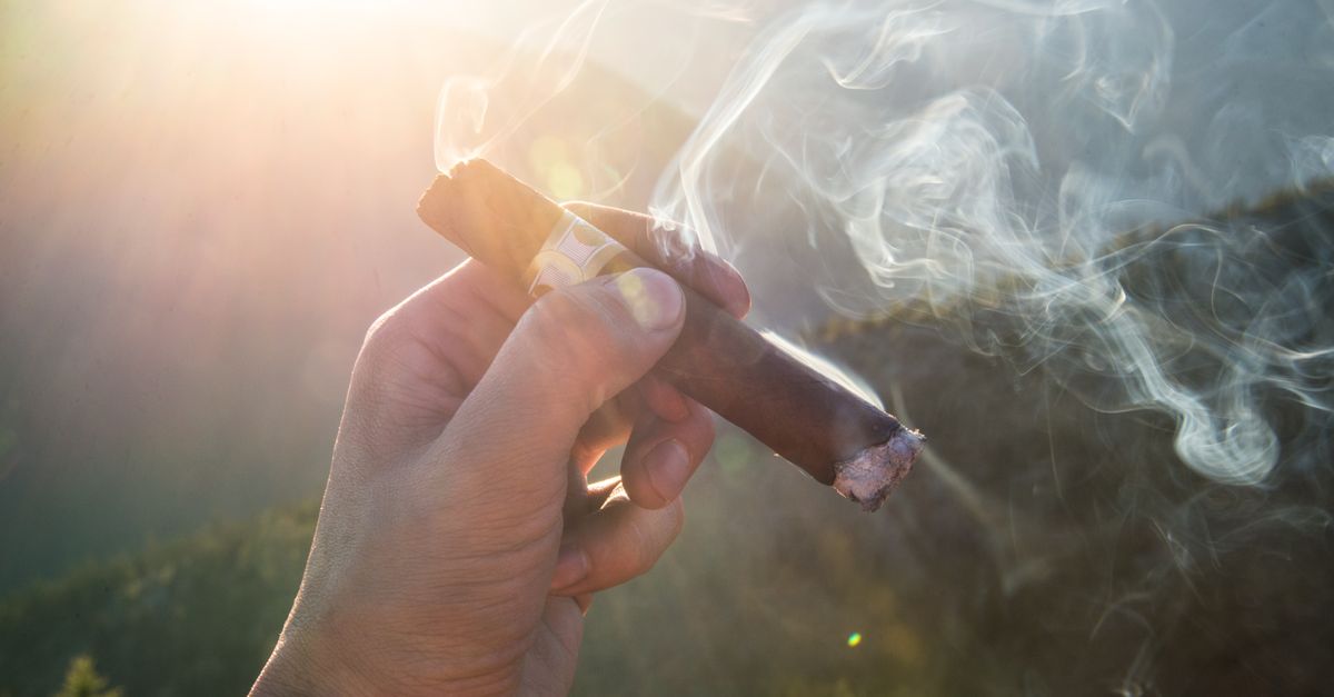 A close-up of a hand holding a smoking cigar against a scenic outdoor backdrop in sunlight.
